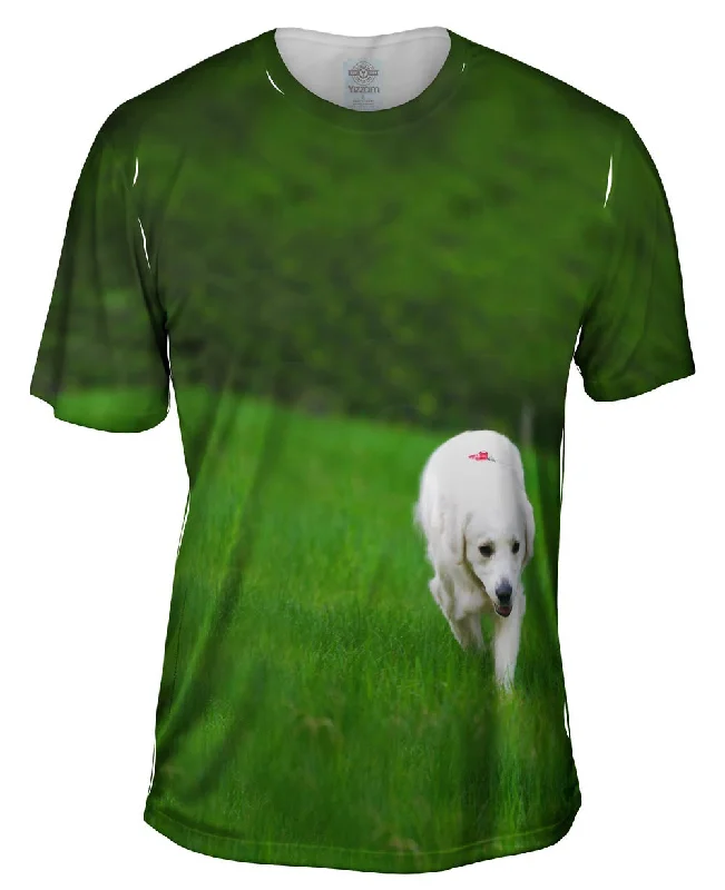 Holiday T-shirt-White Lab Strolling