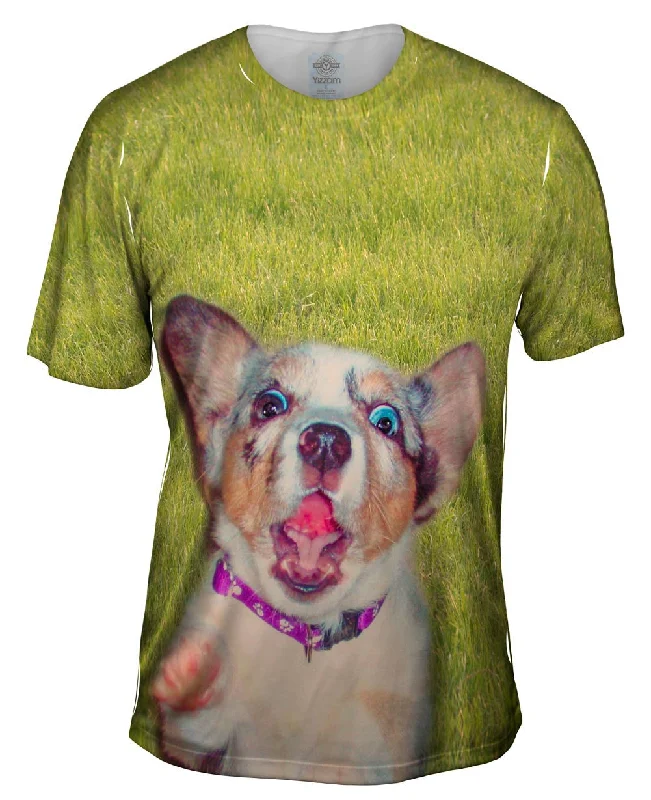 Casual Graphic T-shirt-Zanny Dog Grass