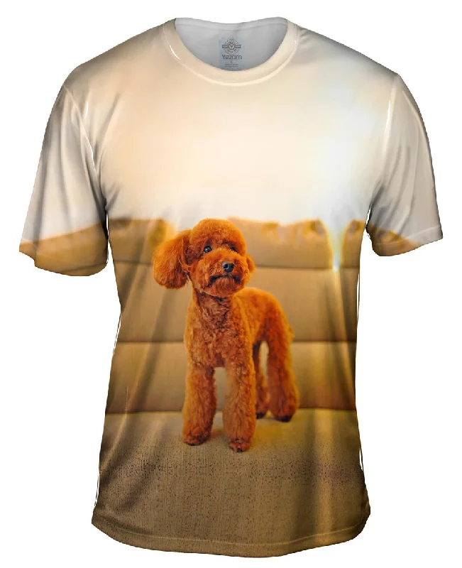 Trendy Logo T-shirt-Toy Poodle Watching Closely