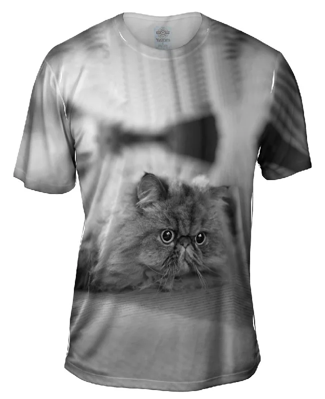 Custom Design T-shirt-Transfixed Kitty Cat