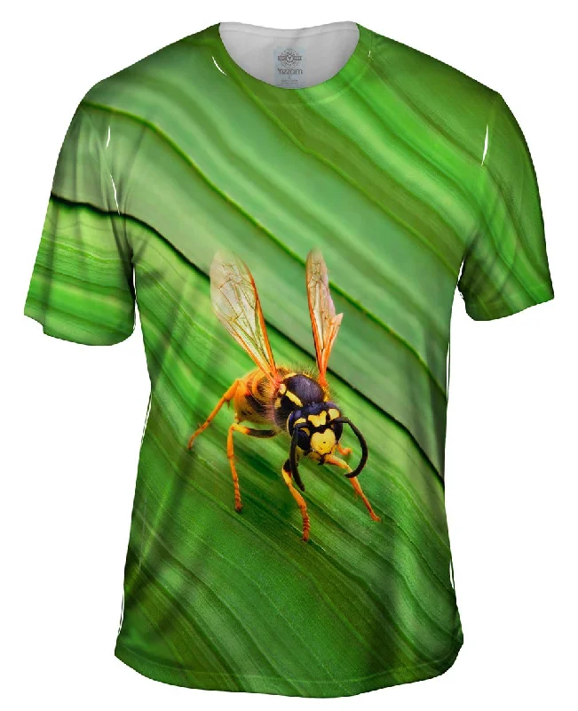 White T-shirt-Yellow Jacket Wasp Rest