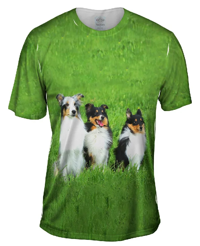 Retro T-shirt-Three Shelties At Attention