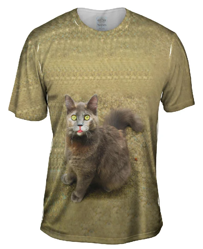 Artistic T-shirt-Wow Brown Cat